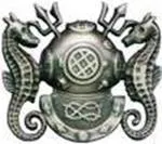 Master diver badge