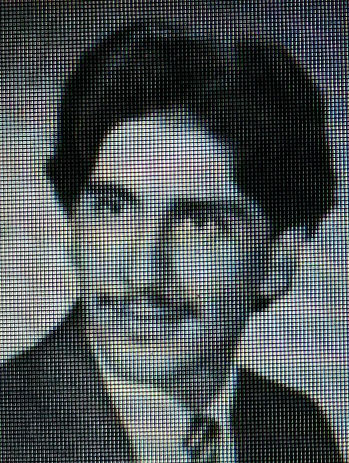 Raymond Borrelli