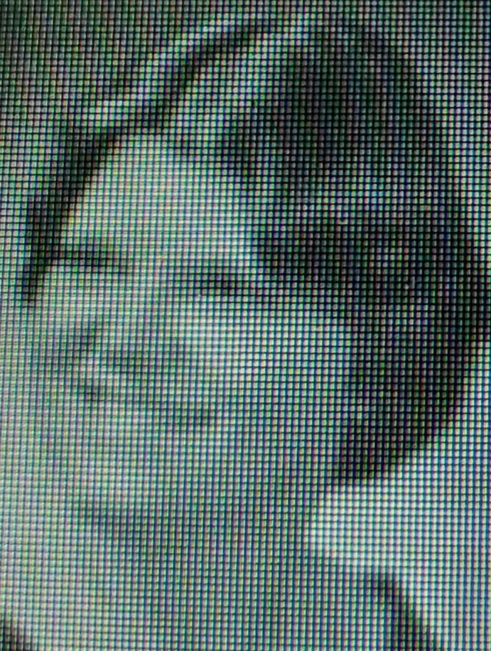 Karen Cassidy